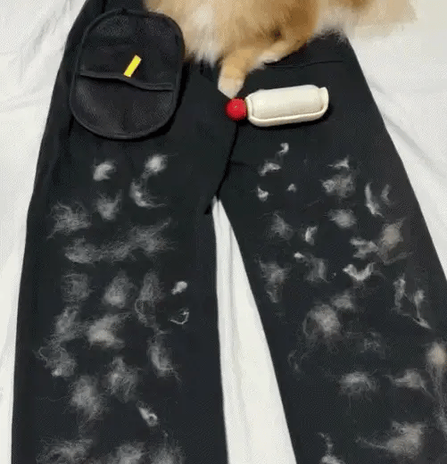 BUY 1 GET 1 FREE FurHero