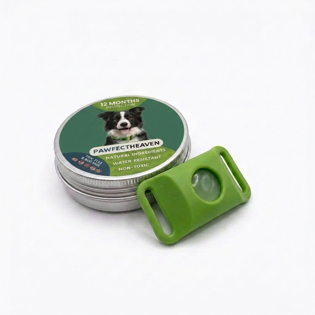 https://cdn.shopify.com/s/files/1/0868/0672/4956/files/Green.png?v=1778175478